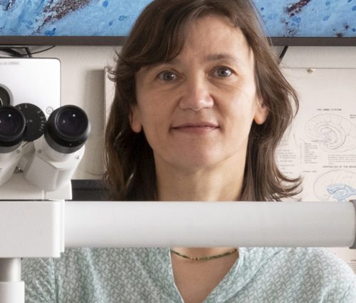Susanne Krasemann