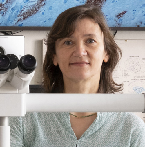 Susanne-Krasemann